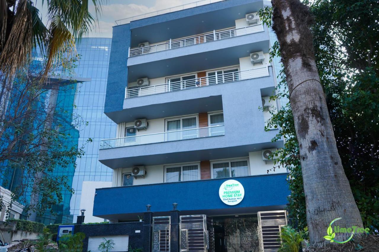 Lime Tree Hotel Near 32Nd Avenue Sector 29 גורגאון מראה חיצוני תמונה