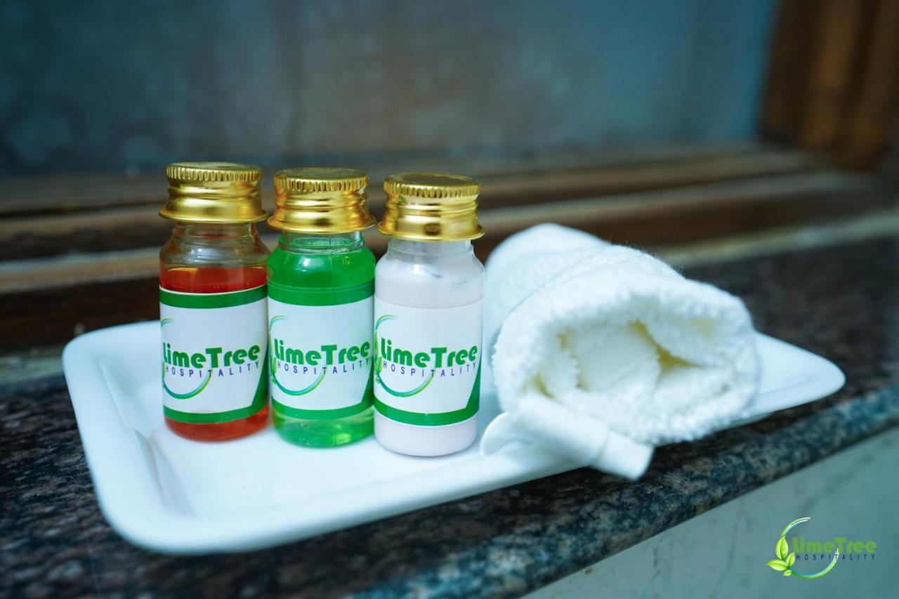 Lime Tree Hotel Near 32Nd Avenue Sector 29 גורגאון מראה חיצוני תמונה